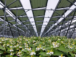 太陽光発電