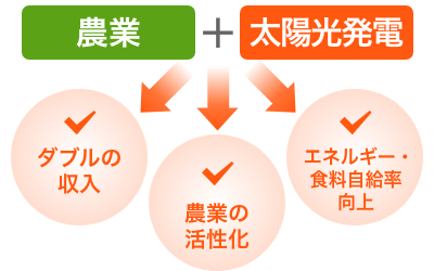 ソーラーシェアリング図